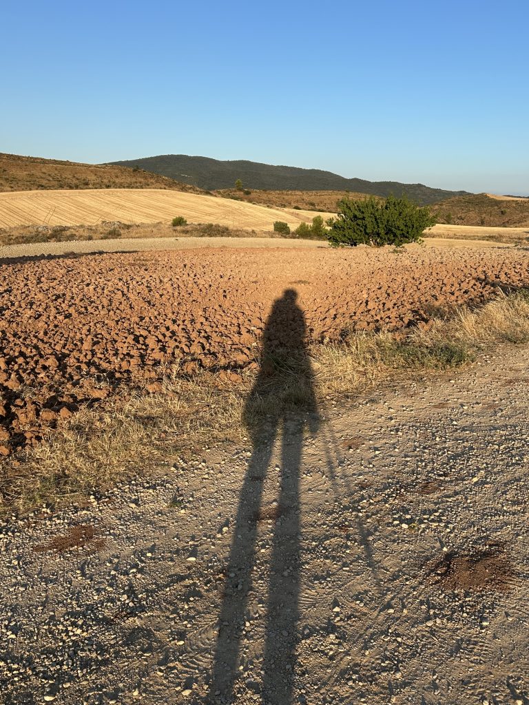 El que m’ha ensenyat El Camino sobre caminar, escoltar i deixar anar